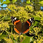 Nature A 10 Minutes D'etretat Semesterbostad