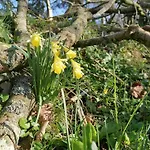 Semesterbostad Nature A 10 Minutes D'etretat