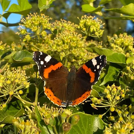 Nature A 10 Minutes D'etretat 別荘