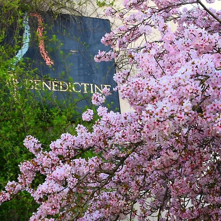 Nature A 10 Minutes D'etretat *